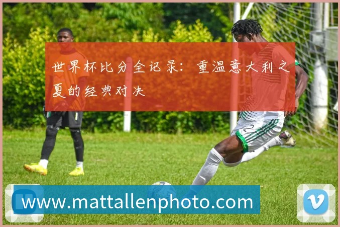 世界杯比分全记录:重温意大利之夏的经典对决