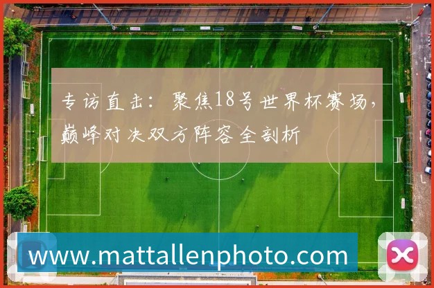 专访直击：聚焦18号世界杯赛场，巅峰对决双方阵容全剖析