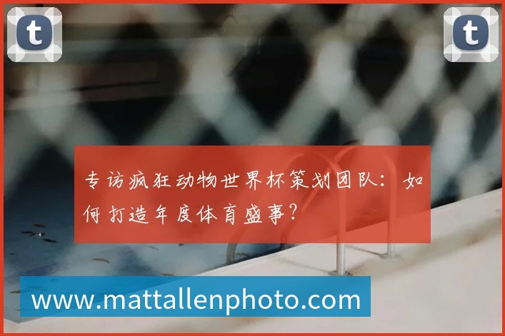 专访疯狂动物世界杯策划团队:如何打造年度体育盛事?