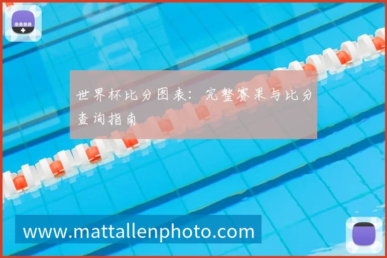 世界杯比分图表：完整赛果与比分查询指南